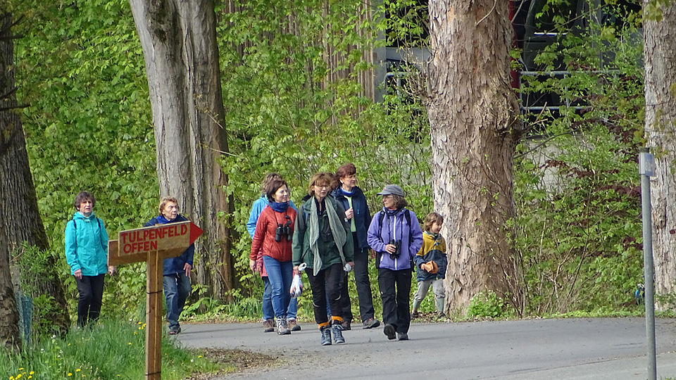 Gruppe unternimmt Vogelstimmenwanderung