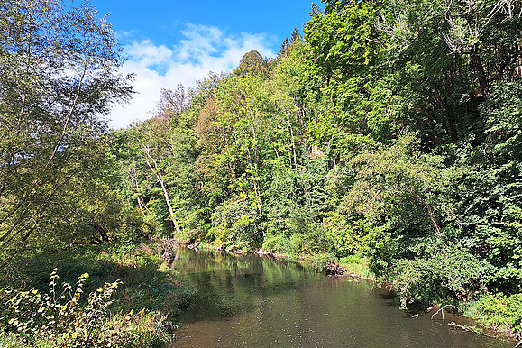 Wanderung Natura Trail