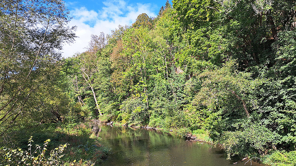 Wanderung Natura Trail