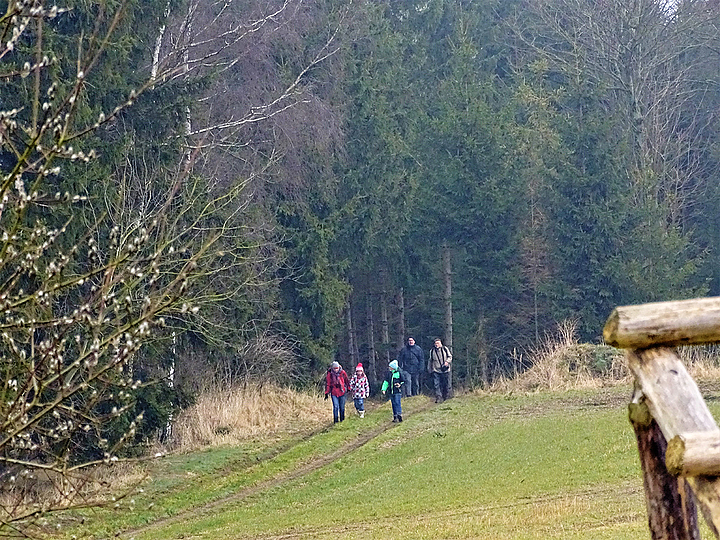 Gruppe unternimmt Vogelstimmenwanderung