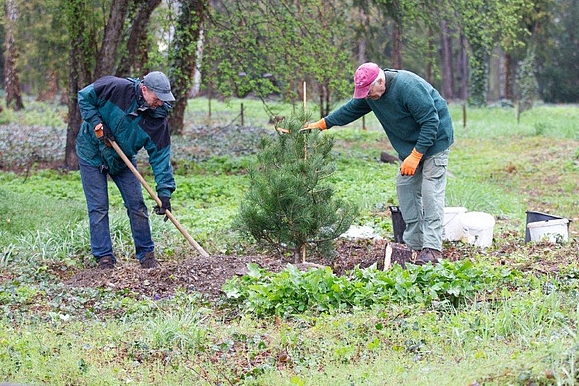 Fruehjahresputz im Arboretum