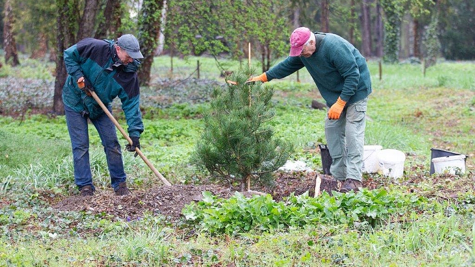 Fruehjahresputz im Arboretum