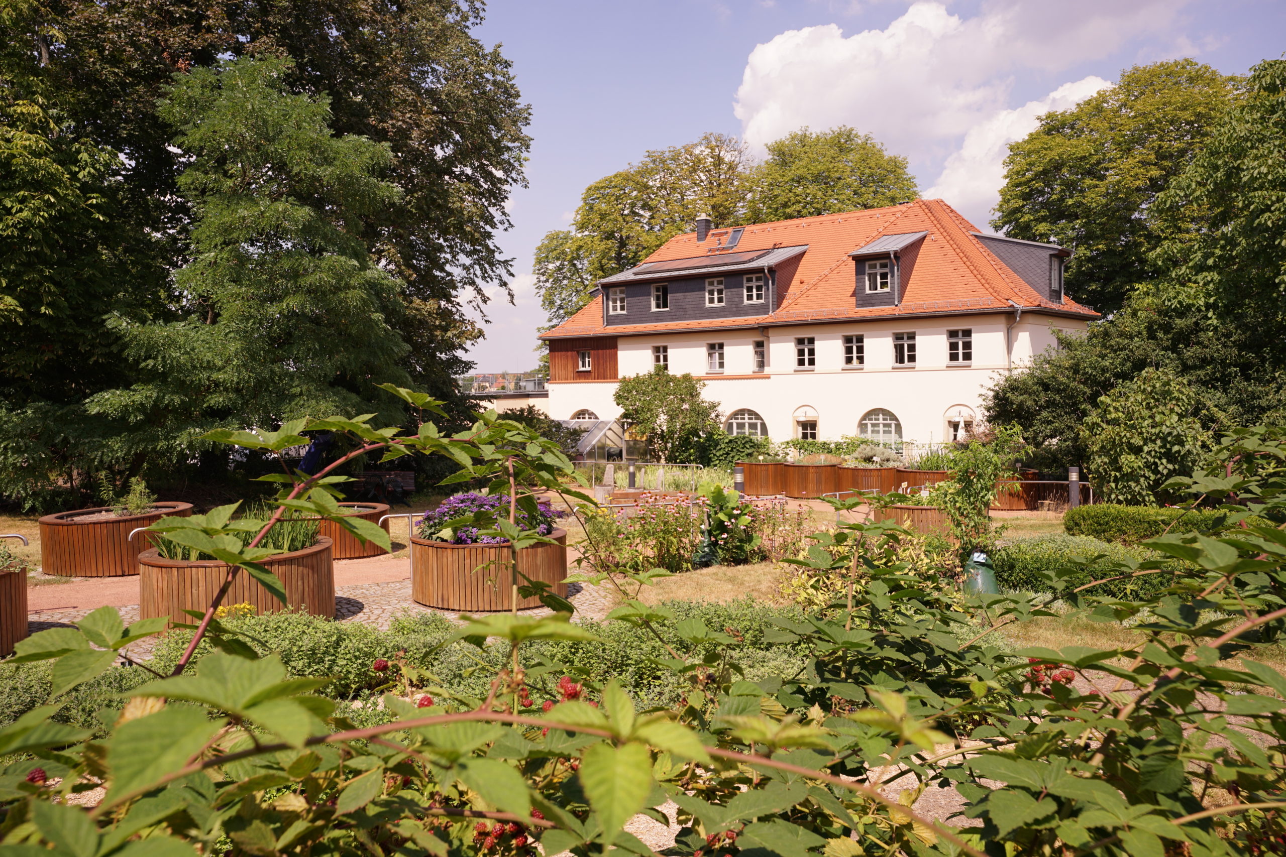 Firmen-Engagement-Tag im Botanischen Blindengarten Radeberg