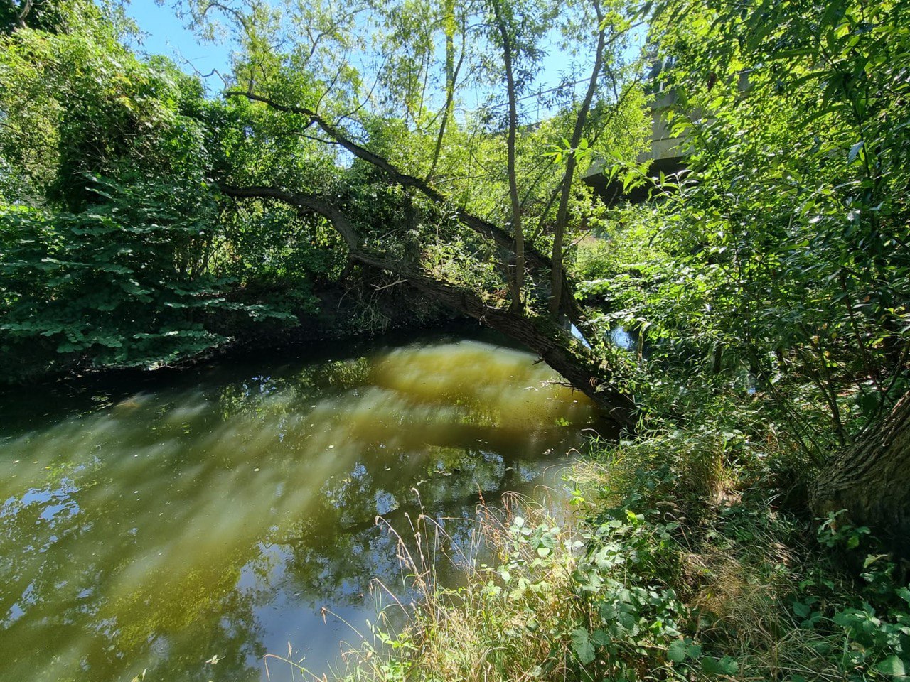 Struktur im Fluss ist ein Muss – Exkursion an die Wyhra