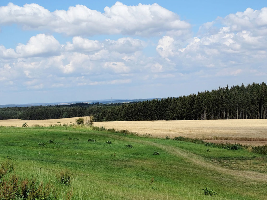 Das ist die Stelle, wo die Blühhecke gepflanzt werden soll.