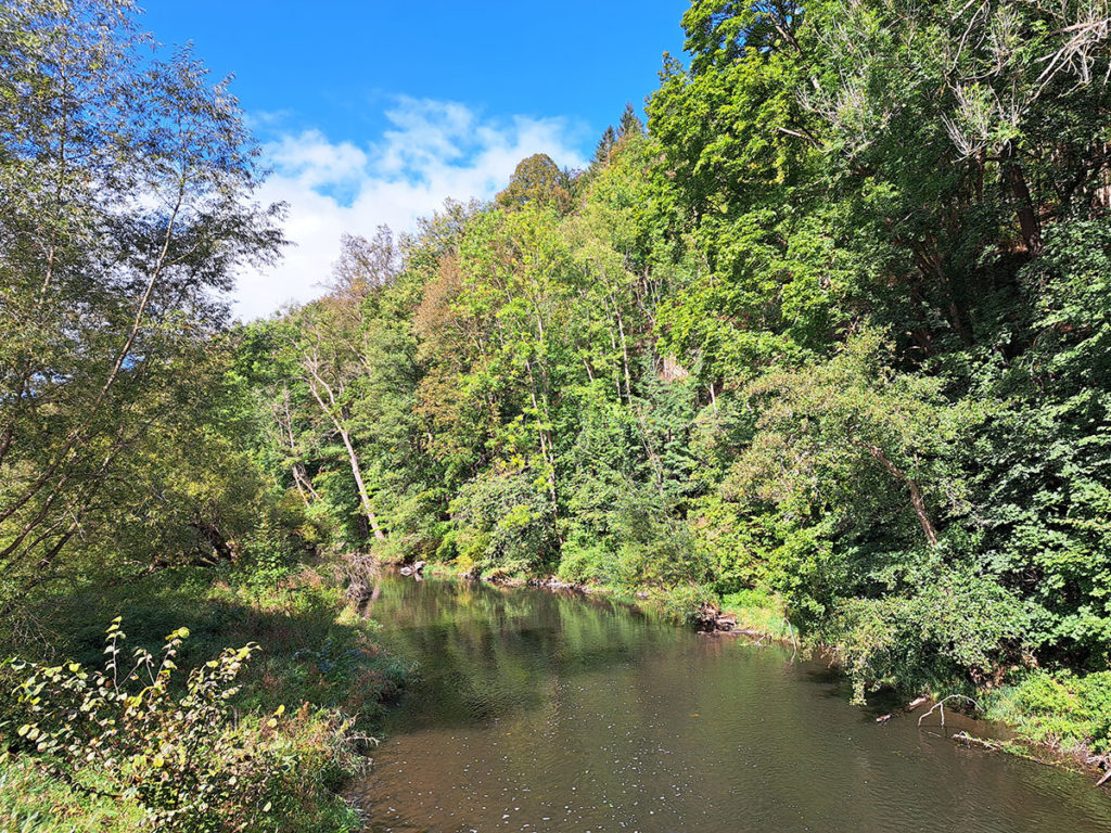 Eine geführte naturkundliche Wanderung im Naturschutzgebiet.