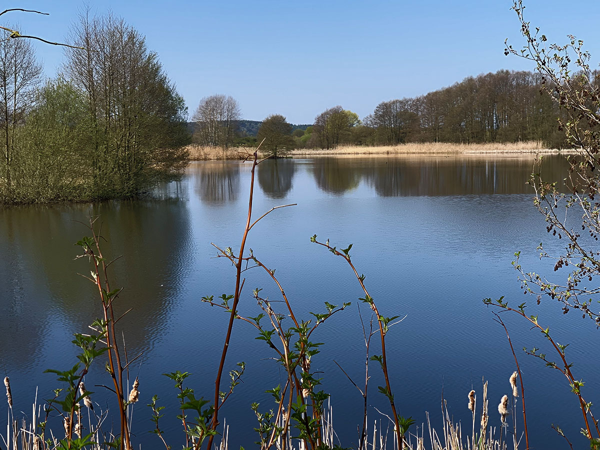 Wanderung auf dem Natura Trail „Großer Weidenteich“